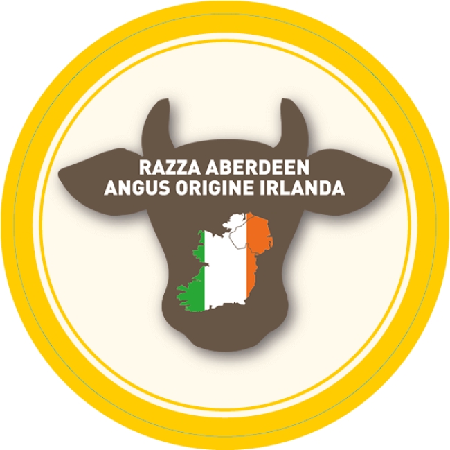 Razza Aberdeen angus origine Irlanda