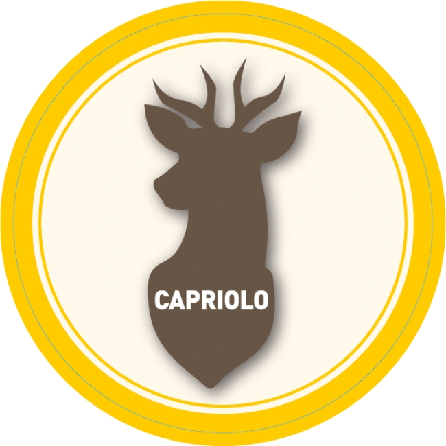 Capriolo