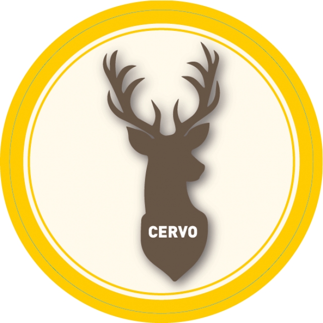 Cervo