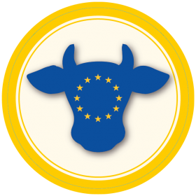 EUROPEAN CATTLE